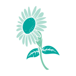 Brighton Place West Healthcare & Rehab Center logo