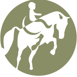 Leaps & Bounds Pediatric Therapy logo