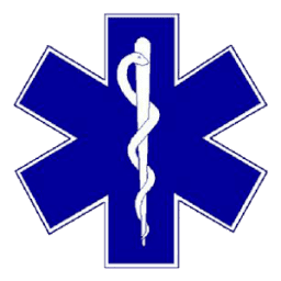 Lynch EMS logo