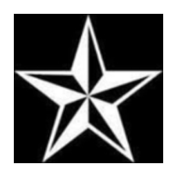 North Star Diagnostic Imaging logo