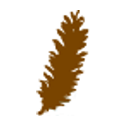 Pines Health Services logo