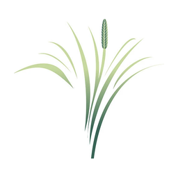 Sweetgrass Pediatrics logo