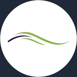 The Second Wind logo