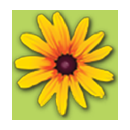 Transitions Mental Health Asso logo